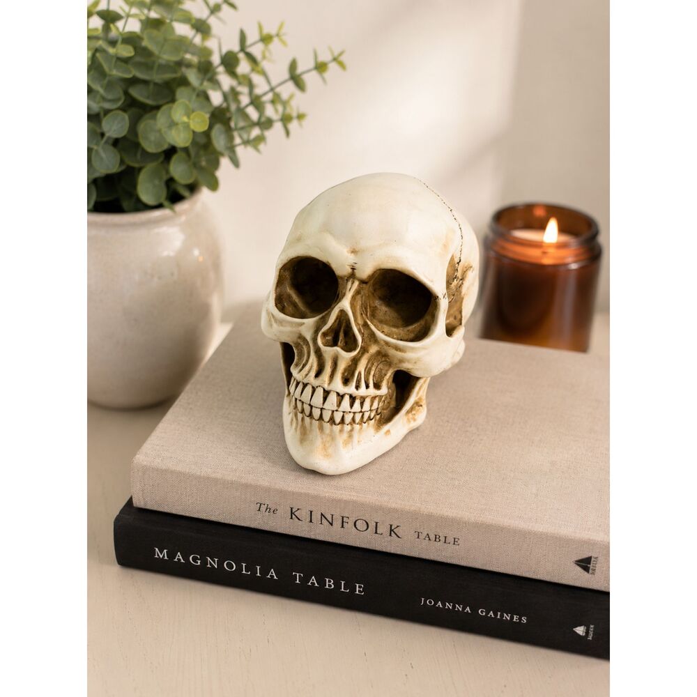 Decorative Skull Halloween  Accent Realistic Gothic Spooky Decor 7" Skull